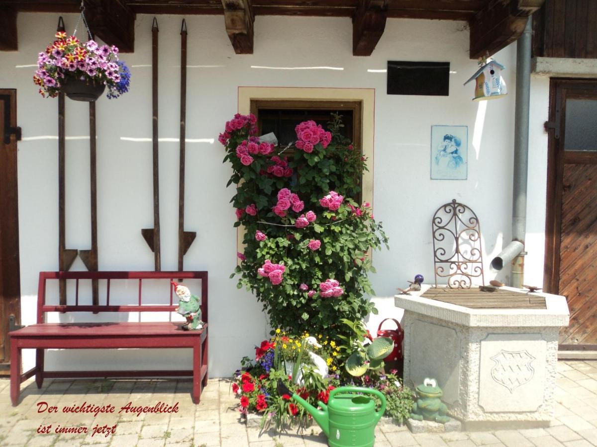 فندق Schellenberger Hof Soyen المظهر الخارجي الصورة